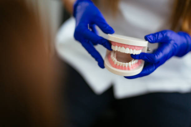 Best Wisdom Tooth Removal  in East Lake Orient Park, FL