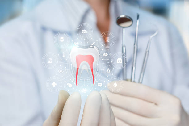 Best Traditional Braces  in East Lake Orient Park, FL